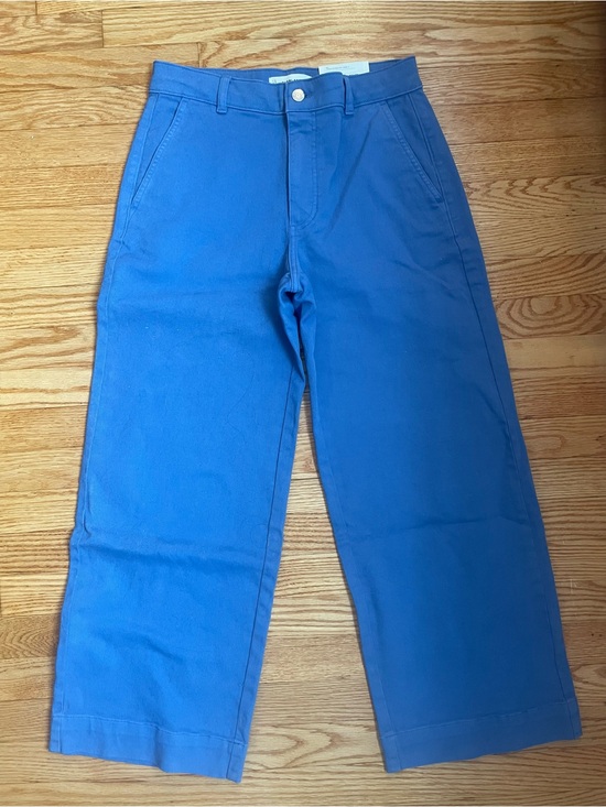 Everlane Pants - Everlane Wide-Leg Pants in Bright Blue
